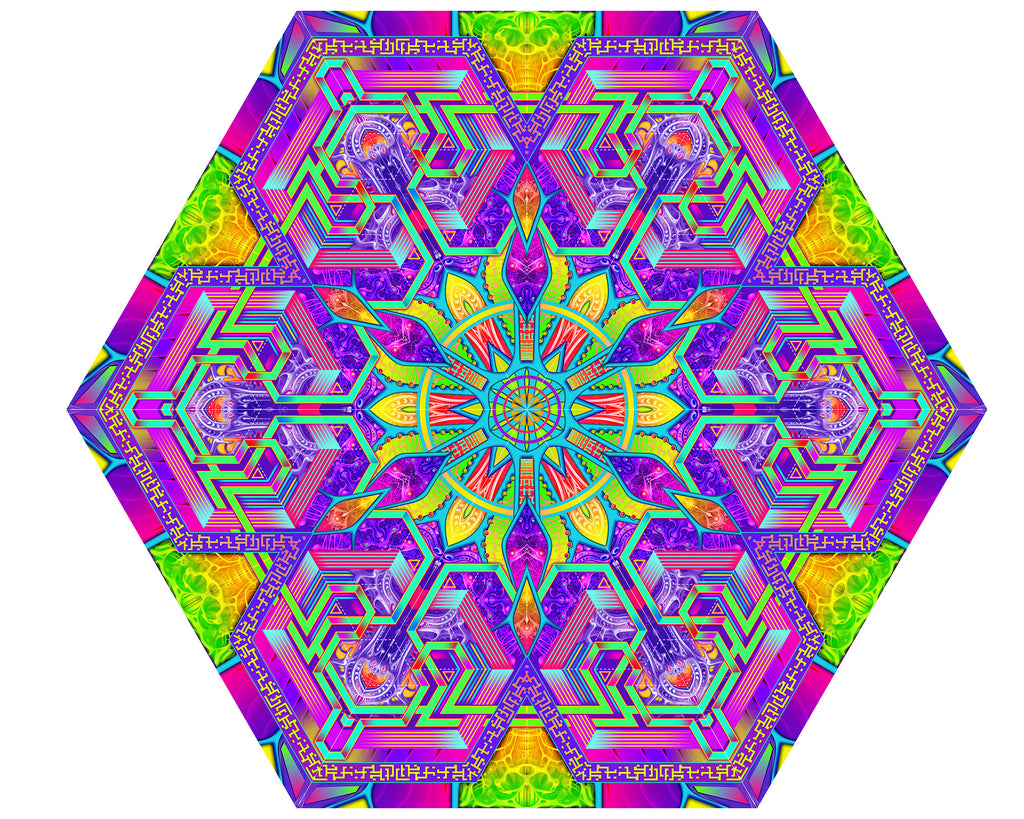 Psychedelic Mandala Outdoor Canopy