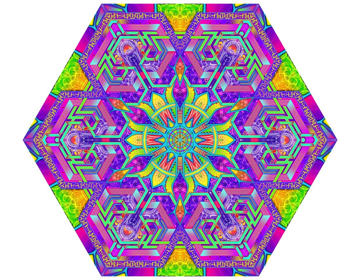 Psychedelic Mandala Outdoor Canopy